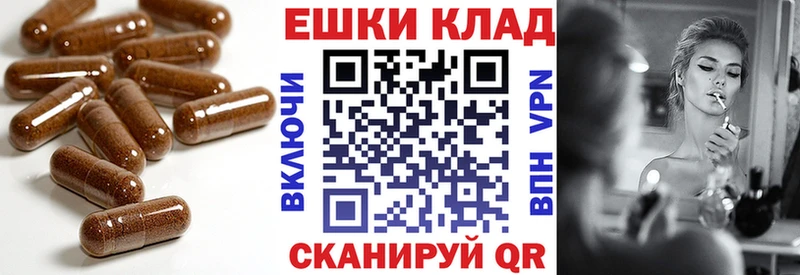 Ecstasy Philipp Plein  Брюховецкая 