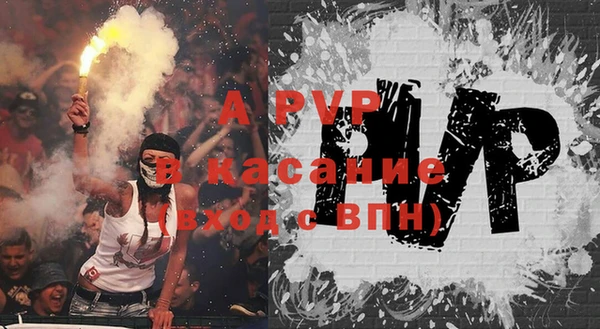 хмурый Абаза
