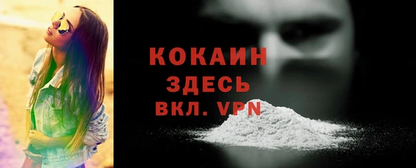 хмурый Абаза