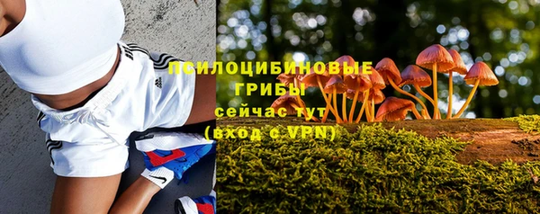 ПСИЛОЦИБИНОВЫЕ ГРИБЫ Алексеевка