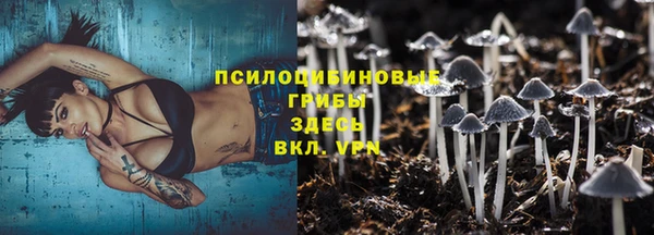 твердый Абдулино